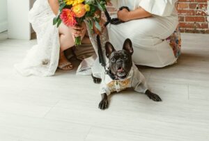 Newlywed couple with dog at wedding