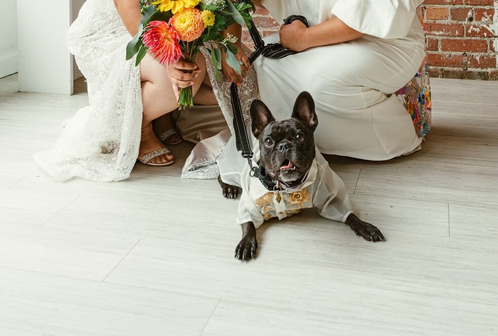 Newlywed couple with dog at wedding