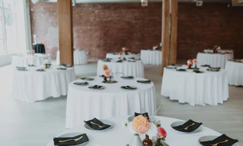 ER3A4463-2-rlqi3ivh6ryw6ywthw6ttvj910co8m2rblxrc6uym0